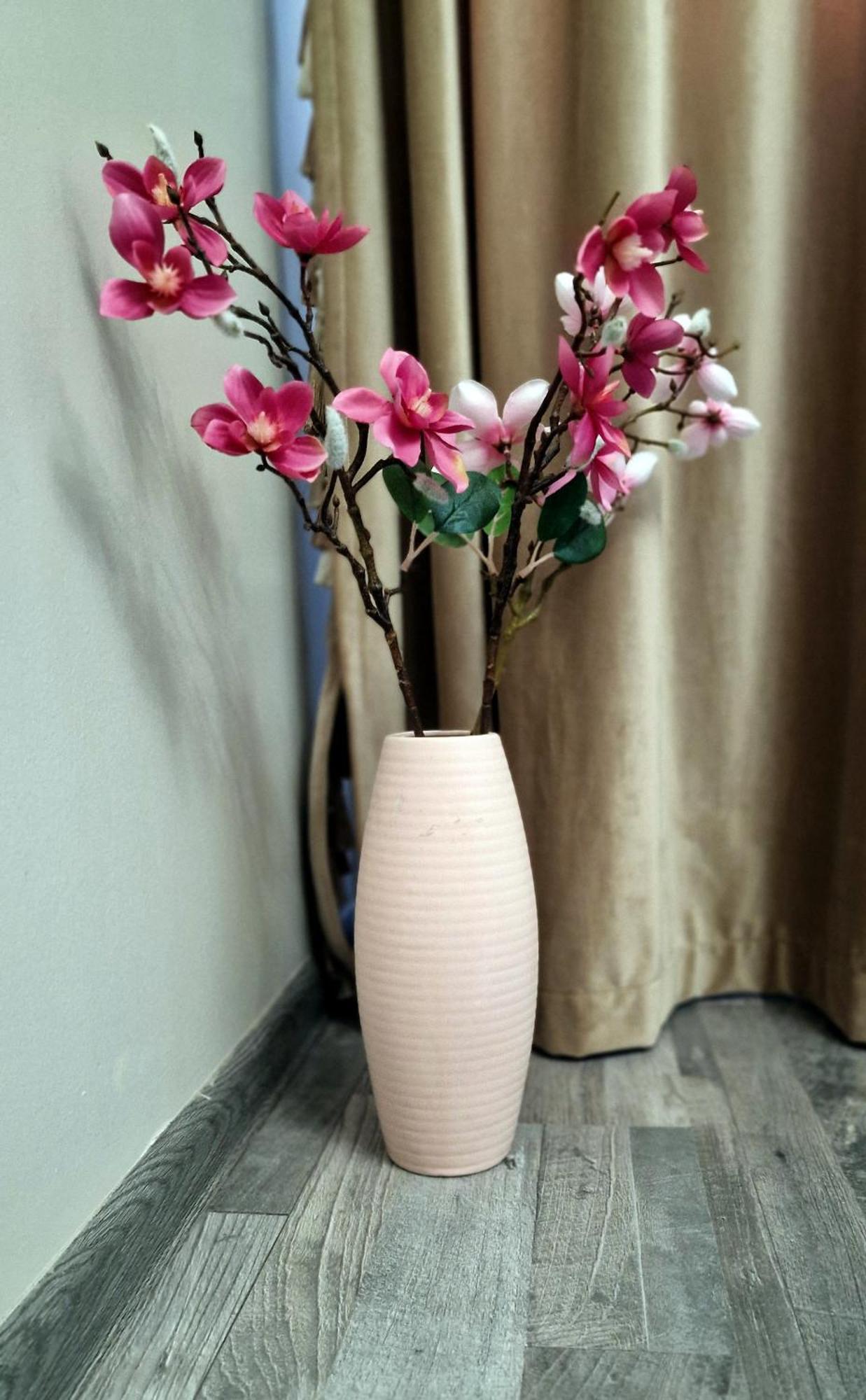 Sophia Home 1 براشوف المظهر الخارجي الصورة